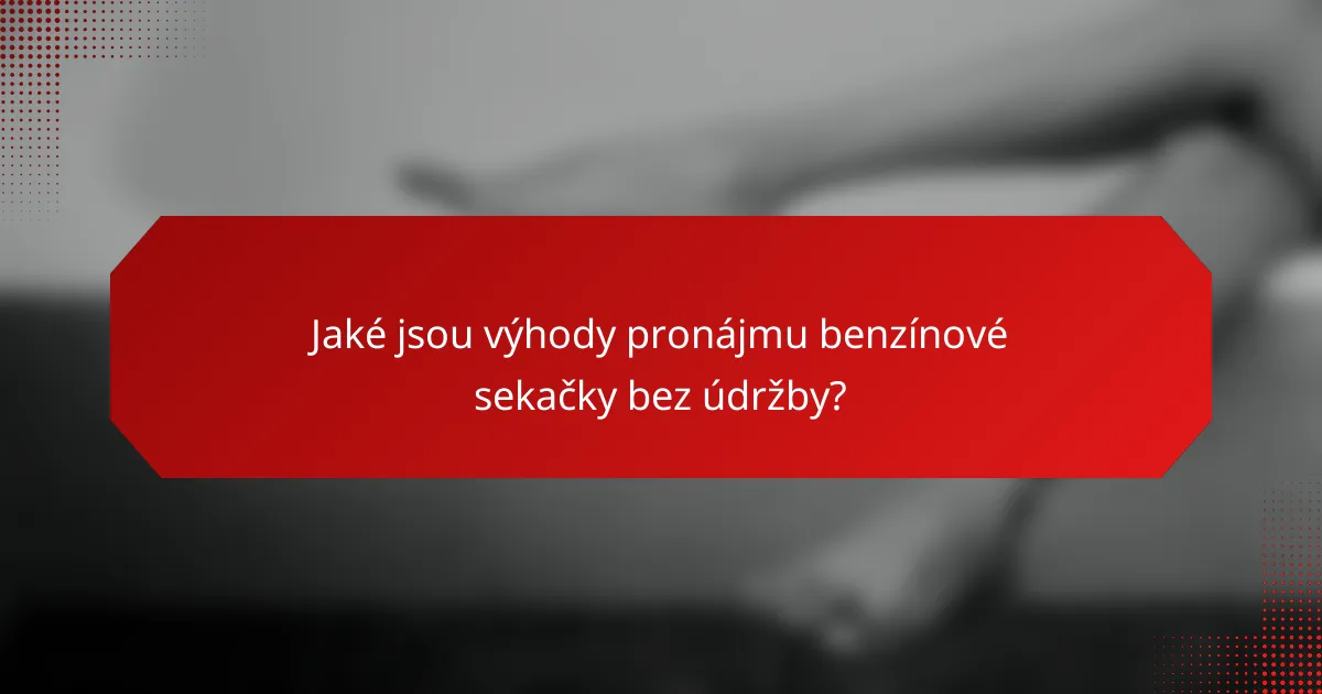 Jaké jsou výhody pronájmu benzínové sekačky bez údržby?